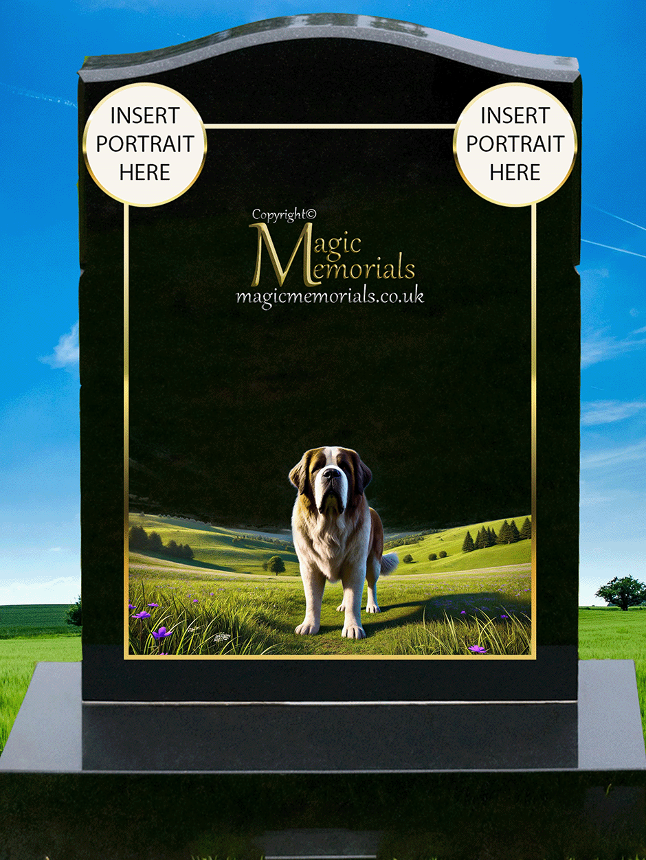 Saint Bernard Lover Memorial Headstone made from premium granite, featuring high-resolution imagery of a Saint Bernard and personalised engraving. A heartfelt tribute for dog lovers who cherished this gentle giant breed.