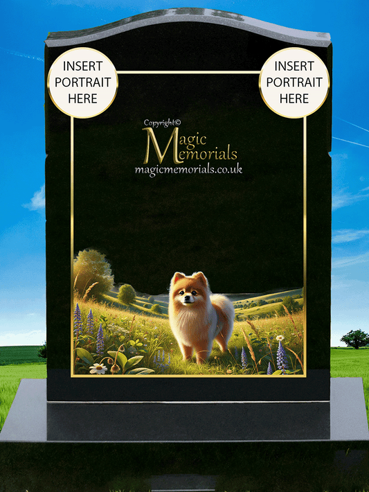 Pomeranian Lover Memorial Headstone crafted from premium granite, featuring high-resolution Pomeranian imagery and a personalised inscription. A touching tribute for Pom owners and admirers.

